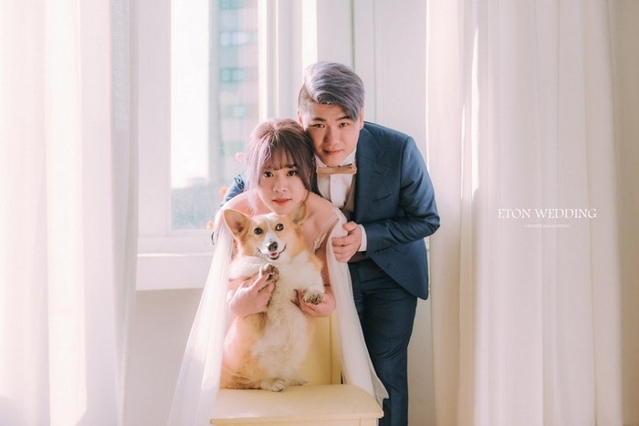 寵物寫真,寵物攝影,寵物照,毛孩照,紀念照